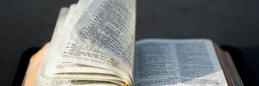 Image shows a bible layed flat with pages flipping from the centre"
